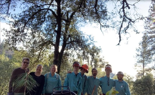 A trail crew in matching shirts and hard hats standing under a large oak