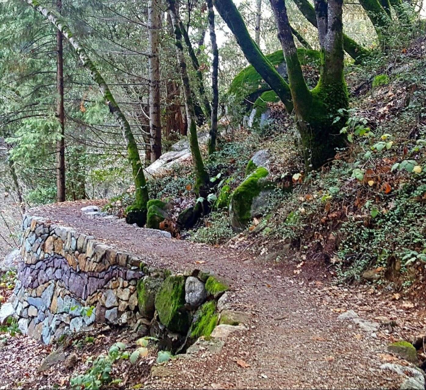 The Tribute Trail curving along a hand-built dry-stone retaining wall through mossy Sierra foothill forest